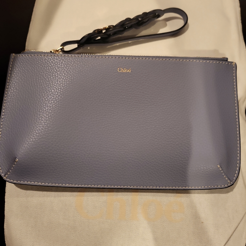 Chloé Darryl pouch